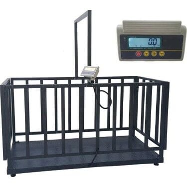 Canlı Hayhan Baskülü