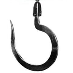 CAS IE-1700 VİNÇ BASKÜLÜ